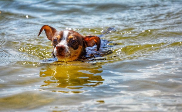 Techniques pour débutants pour un site web de conseil en réparation d'appareils électroniques